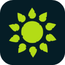 wilderless 探索小游戏