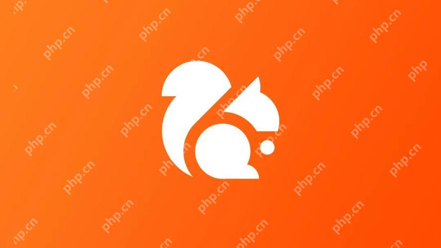 UC缓存视频导出后无法打开