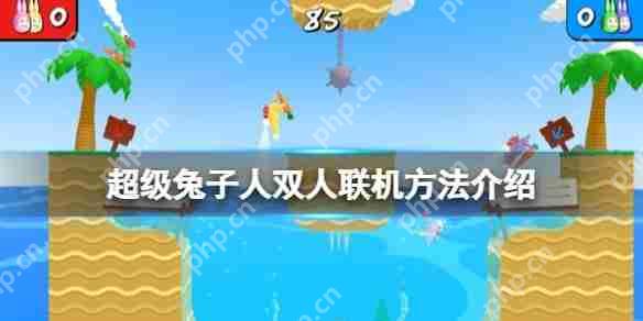 疯狂兔子人怎么联机-疯狂兔子人双人联机攻略