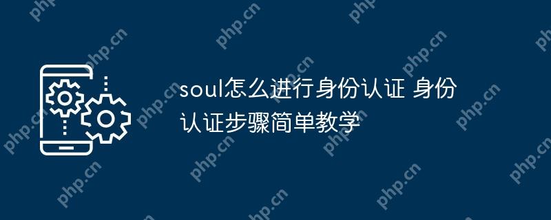 soul怎么进行身份认证 身份认证步骤简单教学