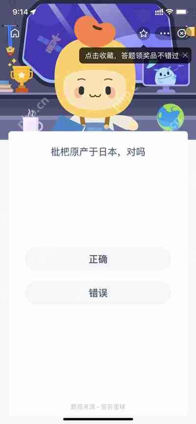 枇杷原产于日本对吗