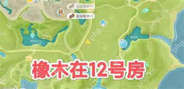 心动小镇5.9溜溜橡木与无瑕萤石位置