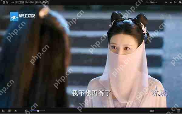 黑鸟播放器怎么打开