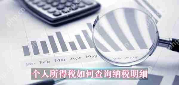 个人所得税如何查询纳税明细