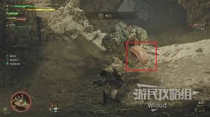 怪物猎人荒野缠蛙怎么打
