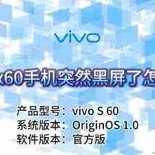 x60突然黑屏