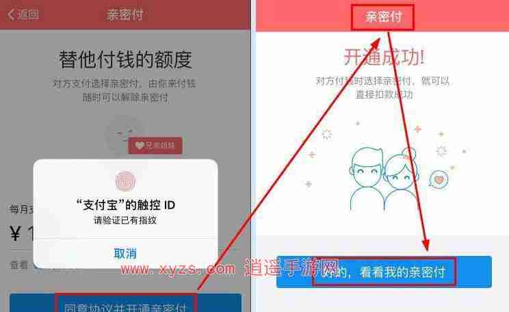 支付宝亲密付功能怎么取消