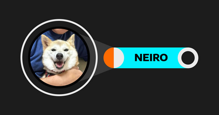 NEIRO币详解：新兴迷因币的崛起与运作
