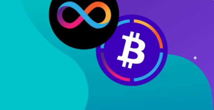 DOT与ICP潜力对比：投资哪个更有优势？