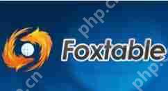Foxtable项目信息如何输入？项目信息输入方法分享