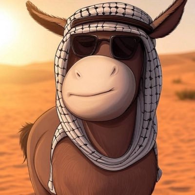 什么是驴子迷因币(DONKEY)？探索BNB链上的DONKEY币