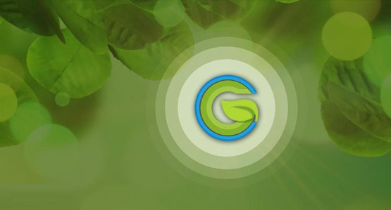 WGC是什么币种？WGC币价格最新行情