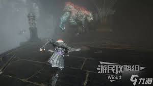 光与影33号远征队双孤刀怎么获取