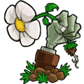 植物大战僵尸 95噩梦版