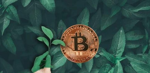 星火矿池：高收益低费率的以太坊挖矿选择