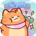 猫咪健身房 无广告