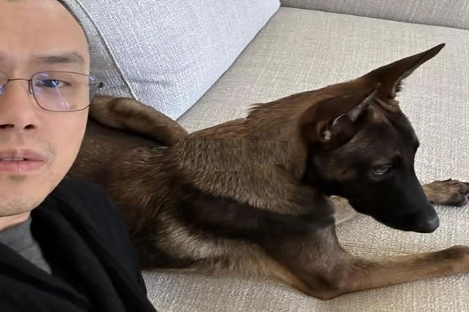 CZ爱犬Broccoli引发链上meme大战,哪些币值得冲？