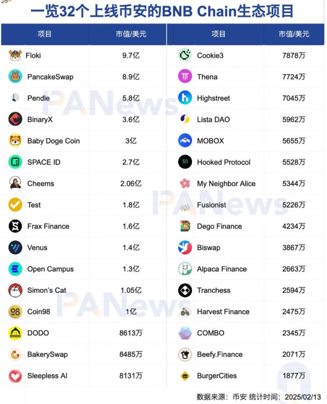 盘点值得关注的币安BNB Chain生态项目