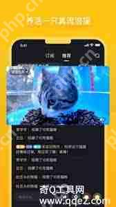 街猫app怎么搜索用户-街猫app添加关注用户的方法