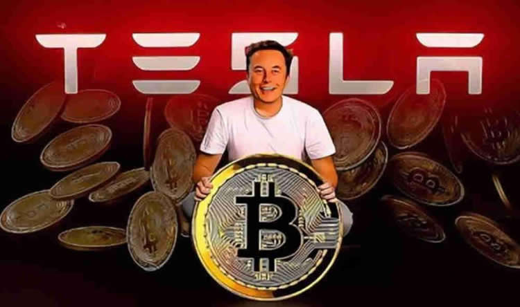 马斯克拥有多少比特币资产？各公司具体数量多少?