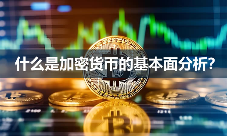 什么是加密货币的基本面分析？三大基础度量、三大关键指标介绍