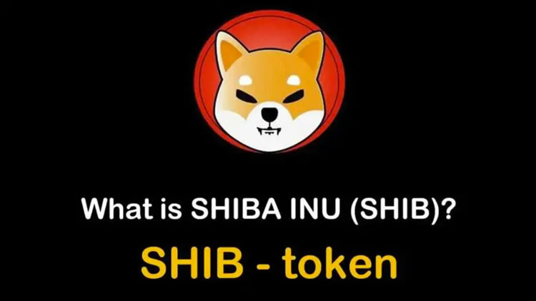 购买柴犬币/SHIB币的三个最佳交易所盘点（2025年11月）