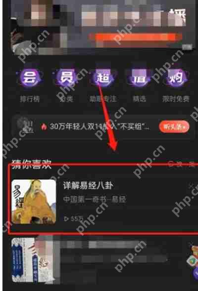 喜马拉雅驾驶模式开启方法