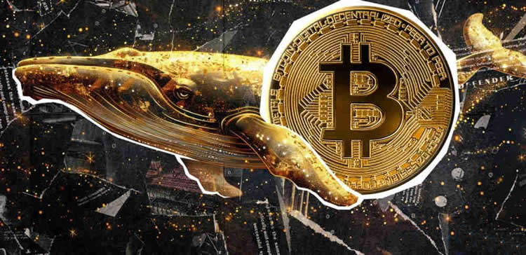 比特币未来或达20万美元是真的吗？