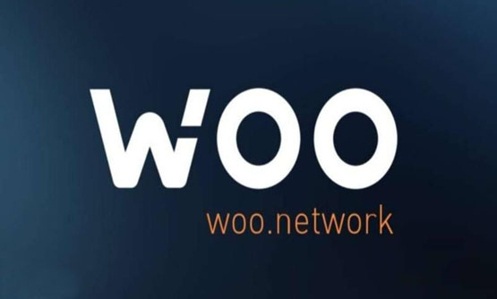 WOO币这个币还有希望吗？WOO币能涨吗？