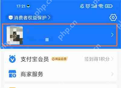 支付宝收藏图片在哪看