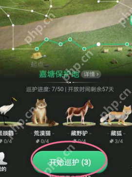 支付宝蚂蚁森林如何开启巡护