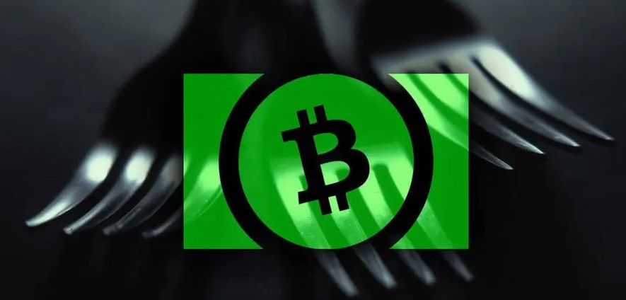 BCH总发行量2100万枚：独特机制与市场动态