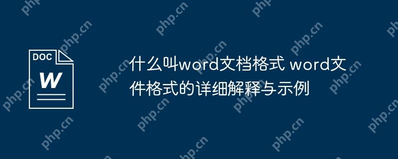 什么叫word文档格式 word文件格式的详细解释与示例