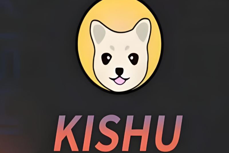 KISHU币在国外很火吗？为什么一直跌？还有前景吗？