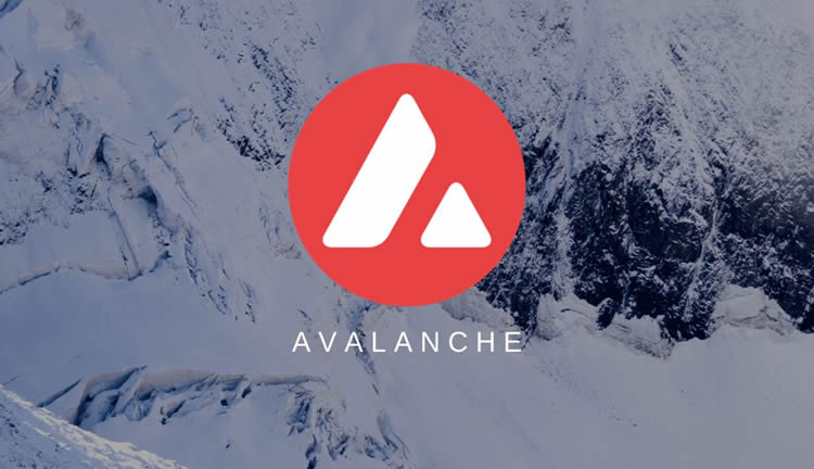 AVAX币解析：投资价值与未来预测