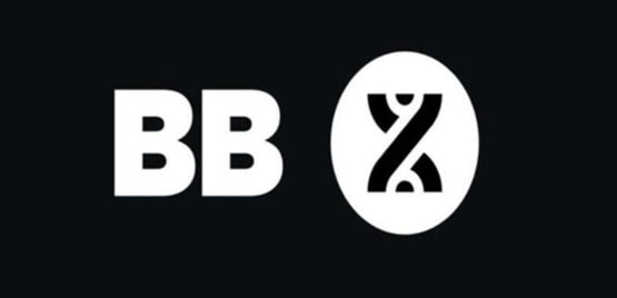 BB币发行价格多少钱？BB币怎么样？