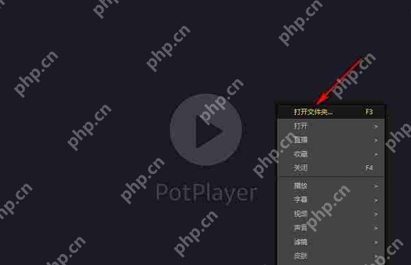 PotPlayer如何手动调整字幕同步