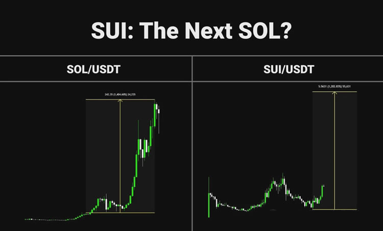 SUI币是下一个SOL吗？SUI币能否跃升至每枚150美元？