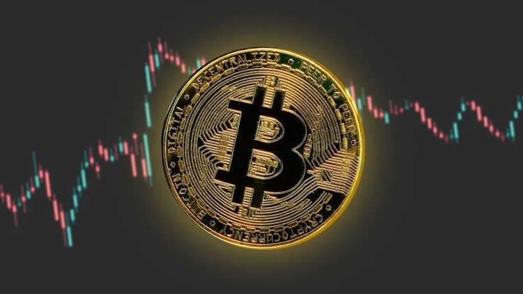 9月后年底疯牛,怎么寻找百倍币？