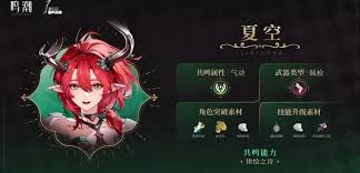鸣潮夏空培养材料有哪些