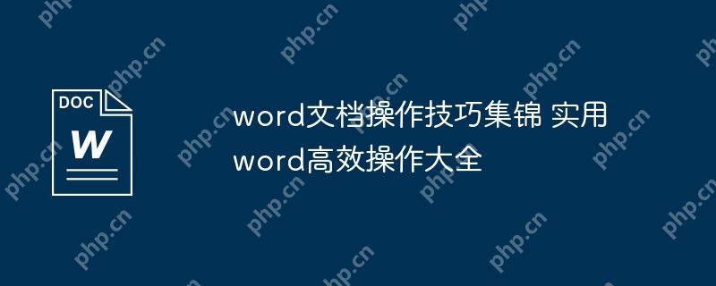 word文档操作技巧集锦 实用word高效操作大全