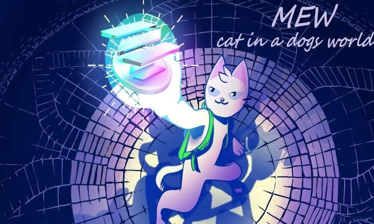 MEW币能成万倍币吗？MEW币在哪买？