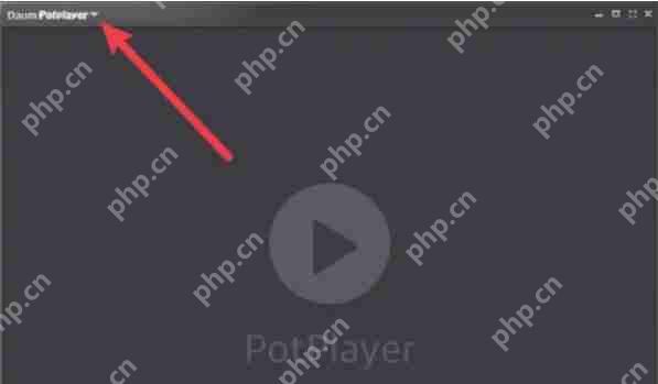 potplayer怎么设置立体声-potplayer设置立体声的方法