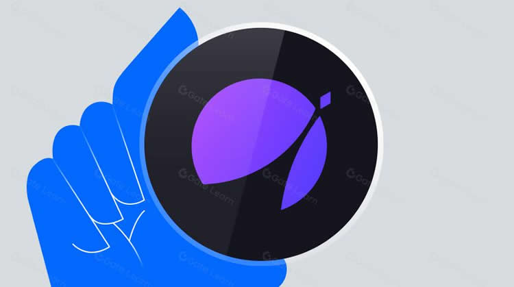 APX Finance(APX)币是什么？APX Finance是一个好的投资吗？