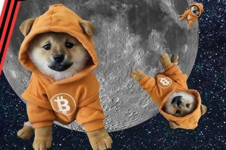 DOG币是什么？符文GOTOTHEMOON(DOG)币未来前景如何？