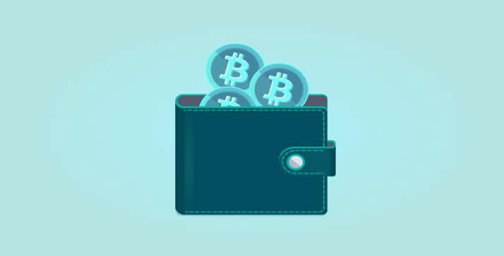 目前最受欢迎的加密wallet究竟是什么？
