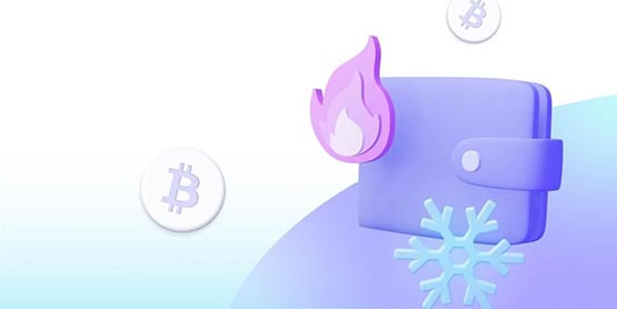 一文详细了解冷wallet地址真的可以公开吗？