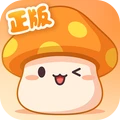 冒险岛：枫之传说 中文版