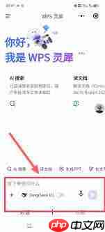 接入wps的deepseek怎么操作