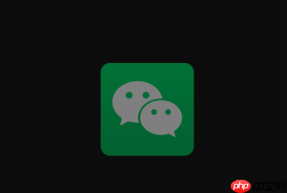 微信支付怎么没了